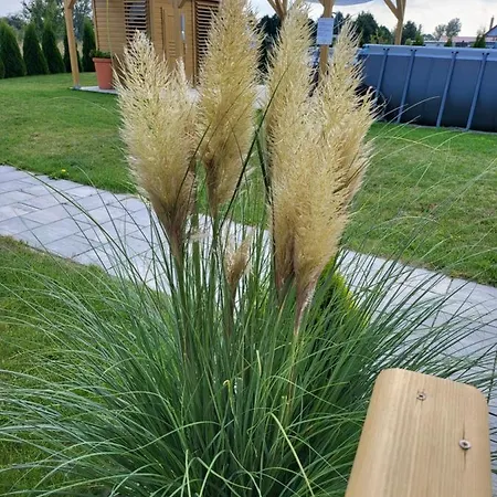 Apartmán Trzesawisko *